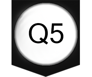 q5
